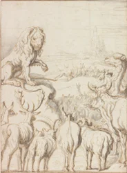 The Lion, King of the Animals